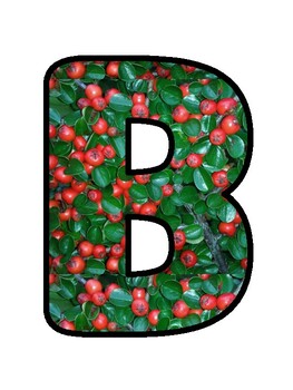 BERRY GOOD WORK!, Berry Bulletin Board Decor