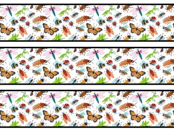 Bugs Bulletin Board Decor Kit, Bugs Letters