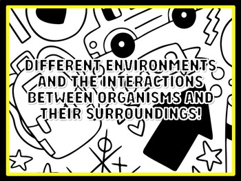DIFFERENT ENVIRONMENTS AND THE INTERACTIONS BETWEEN ORGANISMS AND THEIR SURRO