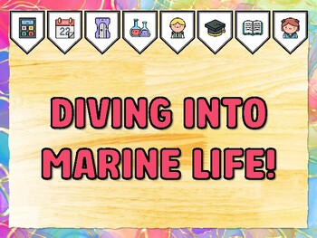 DIVING INTO MARINE LIFE! Grade 1 Science Bulletin Board Decor Kit