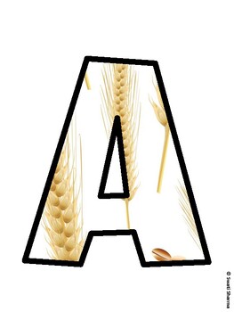 Farm Bulletin Board Décor Kit, Farm Bulletin Board Letters