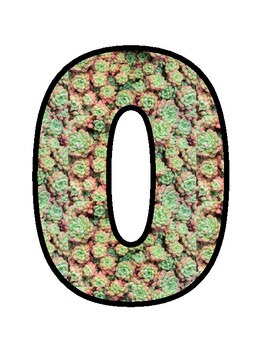 OUR FAN-CACTUS WORK!, Cactus, Succulent Bulletin Board Decor