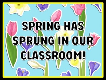 SPRING HAS SPRUNG IN OUR CLASSROOM! Spring Door Décor, Spring Bulletin Board