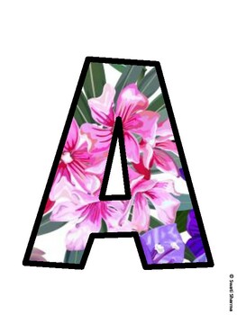 Spring Bulletin Board Décor Kit, Spring Bulletin Board Letters, Spring Hallwa