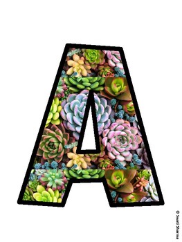 Succulents Bulletin Board Decor Kit, Succulents Bulletin Board Letters