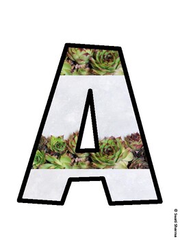 Succulents Bulletin Board Décor Kit, Succulents Bulletin Board Letters