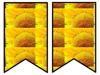 Sunflower Bulletin Board Decor Kit, Sunflower Letters