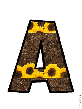Sunflower Bulletin Board Décor Kit, Sunflower Bulletin Board Letters