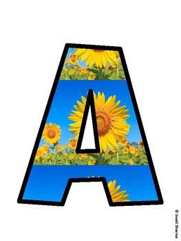 Sunflower Bulletin Board Décor Kit, Sunflower Bulletin Board Letters
