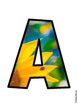 Sunflower Bulletin Board Décor Kit, Sunflower Bulletin Board Letters