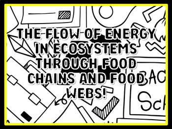 THE FLOW OF ENERGY IN ECOSYSTEMS THROUGH FOOD CHAINS AND FOOD WEBS! Grade 3 S