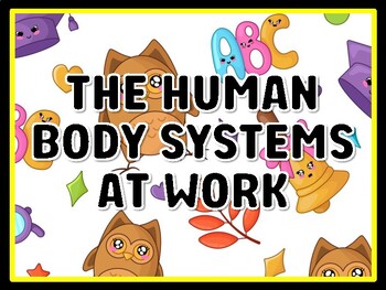 THE HUMAN BODY SYSTEMS AT WORK Grade 7 And 8 Science Door Decor