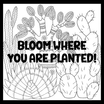 BLOOM WHERE YOU ARE PLANTED! 3 by 3 Feet Cactus Succulents Bulletin Boards