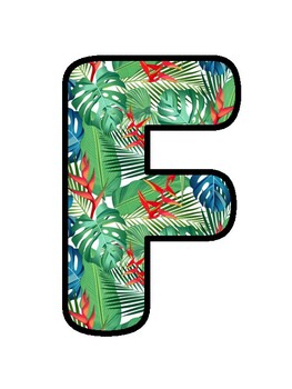 FOCUS WALL! Tropical Bulletin Board Decor