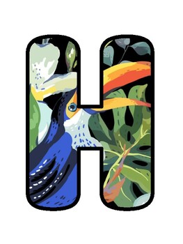 HAPPY KINDERGARTENERS! Tropical, Toucan Bulletin Board Decor