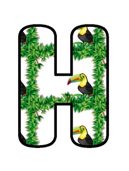 HAPPY SEVENTH GRADERS! Tropical, Toucan Bulletin Board Decor