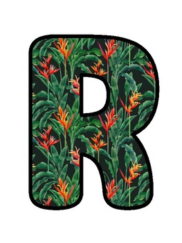 READ SOMETHING COOL! Tropical Bulletin Board Decor