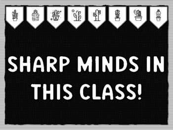 SHARP MINDS IN THIS CLASS! Cactus Succulents Theme Bulletin Board Kit, Door D