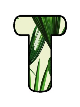THIS CLASS IS ONE IN A MELON! Tropical Bulletin Board Decor