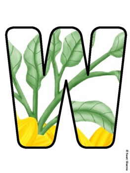 WELCOME TO MIDDLE SCHOOL! Sunflower Bulletin Board Letters