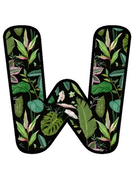 WE'RE WILD ABOUT ENGLISH! Tropical Bulletin Board Decor