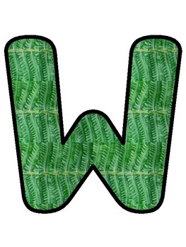 WE'RE WILD ABOUT SCIENCE! Tropical Bulletin Board Decor