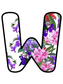 WE'RE WILD ABOUT THE BEACH! Tropical Bulletin Board Decor