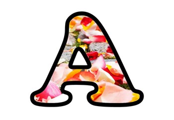 Colorful Flower Petals, Bulletin Board Letters Numbers and Symbols, Spring Decor