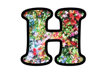 Colorful Flowers, Bulletin Board Letters, Numbers and Symbols, Spring Display