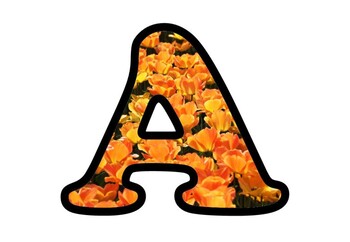 Tulips, Bulletin Board Letters, Numbers and Symbols, Flowers Alphabet Decor